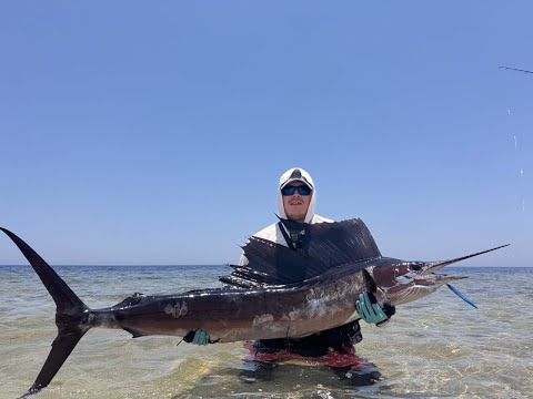 Видео: Zenaq Accura 100hh против Парусника 40+. Испытание на прочность. Sailfish from shore