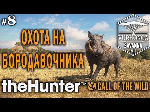 Видео: theHunter Call of the Wild #8 🔫 - Охота на Бородавочника - Винтовка - Спрингбок