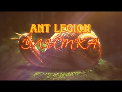 Видео: Ant Legion - Улитка + прохождение Темной пещеры / Snail + passing Dark Cavern (eng sub)