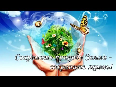 Видео: Экология "Пусть бьётся всегда зелёное сердце природы!"  Мохова Лилия