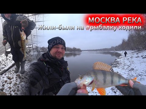 Видео: МОСКВА РЕКА. Что клевало вчера #нарыбалке СУДАК ОКУНЬ ЩУКА
