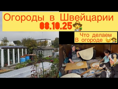 Видео: ОГОРОДЫ В ШВЕЙЦАРИИ 👩‍🌾 ЧЕМ ЗАНИМАЕТСЯ 😉👩‍🌾