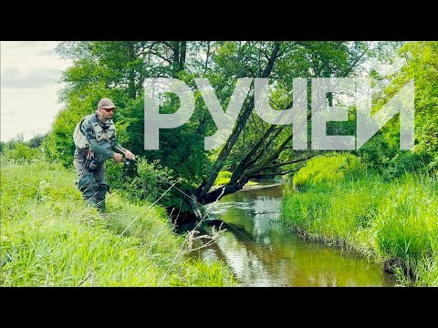 Видео: Микроречка полна ГОЛАВЛЯ!