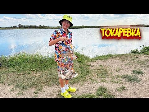 Видео: Рыбалка в Токаревке