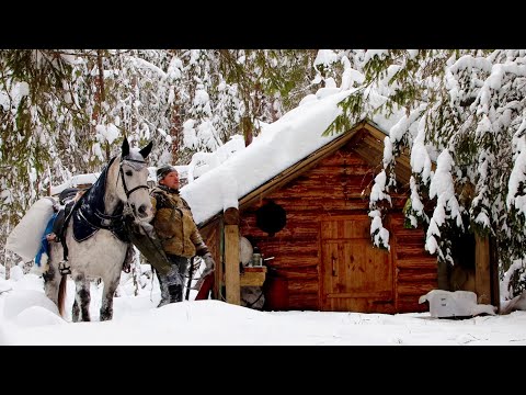 Видео: УШЁЛ ОТ ВСЕХ НА ЛОШАДИ В ЛЕСНУЮ ИЗБУ, А ТУТ ТАКОЕ...