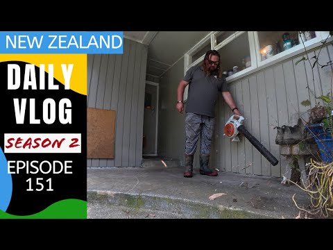 Видео: Работаем дома в хорошую погоду [Жизнь в Новой Зеландии, сезон 2, №151]