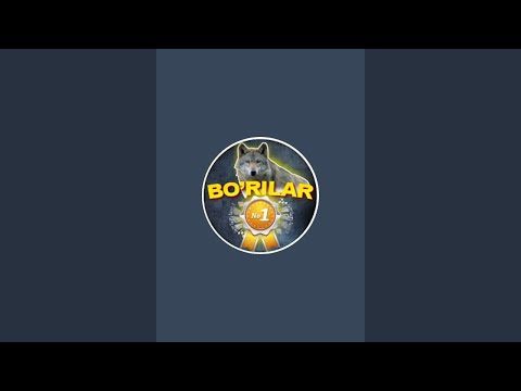 Видео: Borilar N1 в прямом эфире!