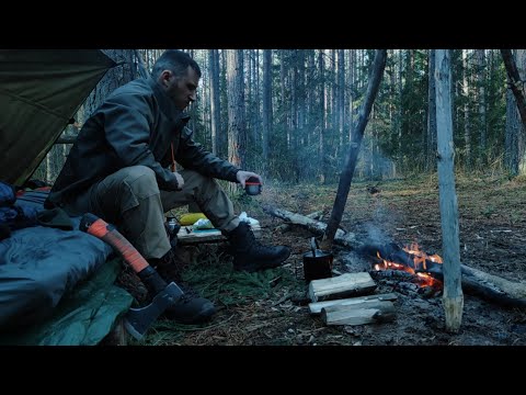Видео: Выход с ночёвкой. Бушкрафт. Нежданный гость.