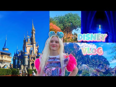 Видео: DISNEYWORLD Влог✨
