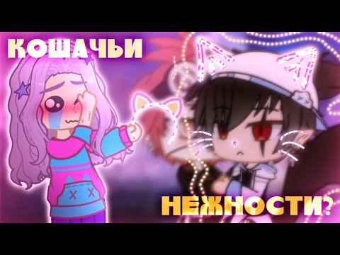 Видео: КОШАЧЬИ НЕЖНОСТИ или БИПОЛЯРНАЯ НЕОПРЕДЕЛЁННОСТЬ | Обзор на гача мини-фильм "Чёртов кот"