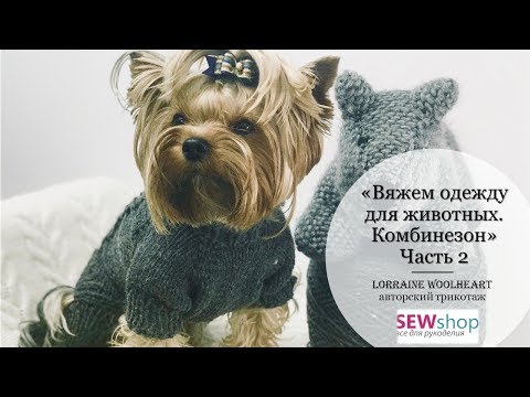 Видео: "Вяжем одежду для животных спицами. Свитер / Комбинезон. Часть 2" вместе с Lorraine Woolheart