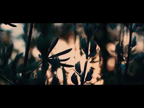 Видео: Айшето Доспатска - Мори зайди зайди / Родопски песни / Rhodope songs   Bulgaria