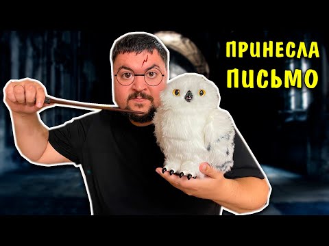 Видео: Настоящая Сова Гарри Поттера! Букля WWO Harry Potter
