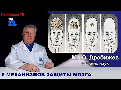 Видео: 5 главных механизмов защиты мозга от препаратов.