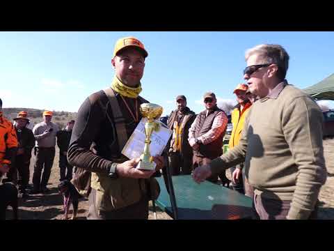 Видео: Мирослав Ненковски: Пандора е еманацията на 30-годишния ми труд с породата Английски пойнтер