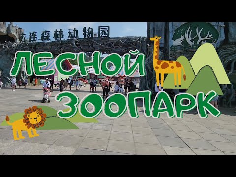 Видео: Китай | Лесной Зоопарк в Даляне | Отдых который подойдёт каждому | Кормлю слонов