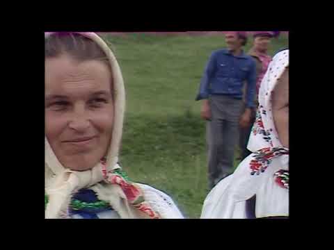 Видео: "Зеленые святки" - Курская обл. - из цикла "Мировая деревня"