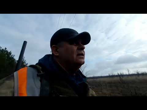 Видео: Загонная Охота на Косулю 2025. Два трофея добыто.