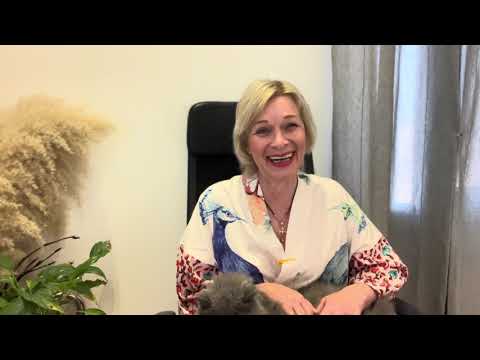 Видео: Я «Хотела квартиру — получила цветок 🌸😂»