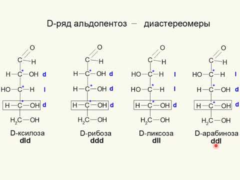 Видео: ЛЕКЦИЯ 5. МОНОСАХАРИДЫ