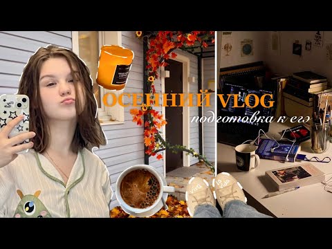 Видео: осенний влог: учеба & отдых | химбио