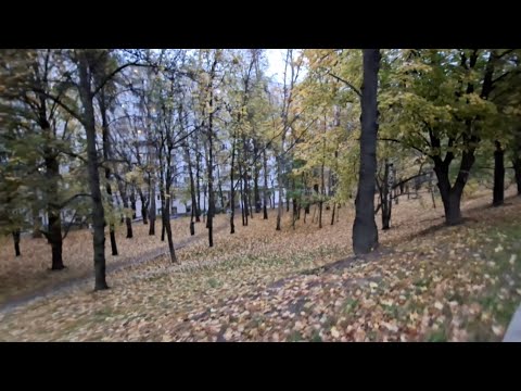Видео: Влог: вылил кофе в раковину.