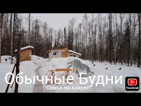 Видео: Счастливые на Аляске (37)