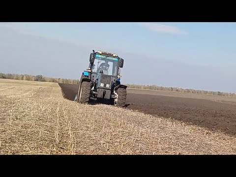 Видео: Посівна пшениці.Оранка МТЗ
