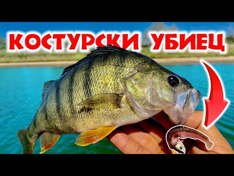 Видео: БЕЗБРОЙ РИБИ!!Риболов на КОСТУР.