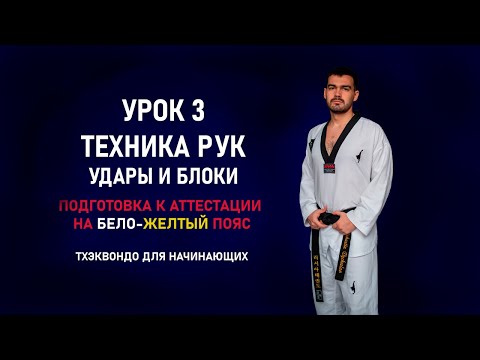 Видео: Подготовка к аттестации на бело-желтый пояс. Урок 3. Техника рук. Удары и блоки