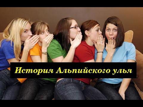 Видео: История альпийского улья (правдивая)