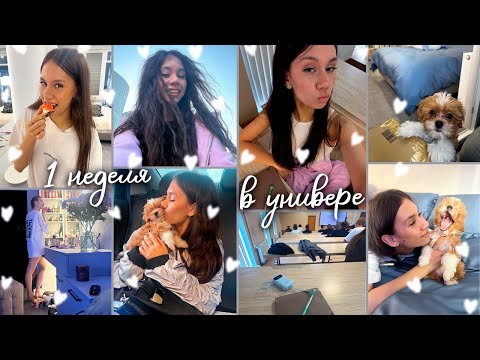 Видео: Моя Первая ❤ УНИВЕРСИТЕТСКАЯ НЕДЕЛЯ ❤