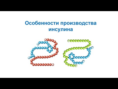 Видео: Особенности технологии производства биоинженерного инсулина