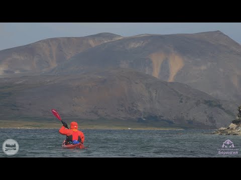 Видео: А поехали... поехали на Чукотку?!