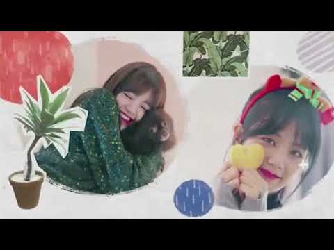 Видео: BLACKPINK HOUSE’ EP.1-1 Первое новоселье смешная озвучка