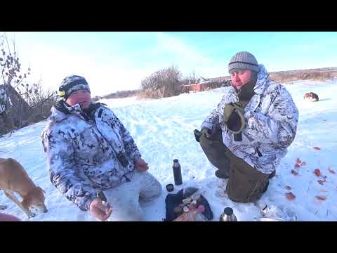Видео: Охота на зайца в мороз -21. Сезон 2024-2025 №217.