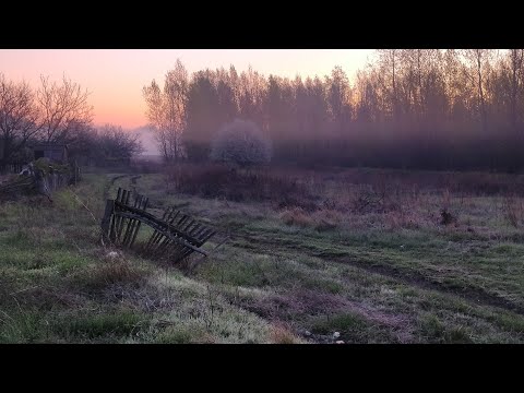 Видео: 🚴‍♂️ Велопоход с ночевкой в Волго-Ахтубинской пойме у хутора Булгаков | ВОЛГОГРАДСКАЯ ОБЛАСТЬ