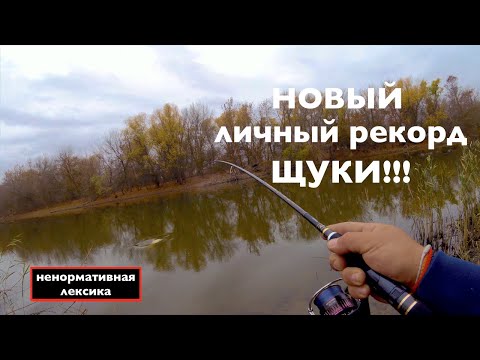 Видео: Береговая рыбалка .Новый рекорд щуки. Немного о Ares Lester Boron 800ML