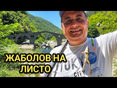 Видео: За риба и жаби на Дяволския мост! Уникален речен риболов на родопски жаби с парче листо!