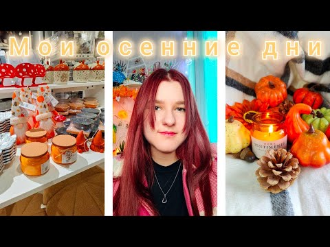 Видео: Мои осенние дни | Vlog | Влог | Шоппинг | Бисероплетение | Плету из бисера | Работаю | Планер