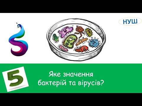 Видео: Яке значення бактерій та вірусів?