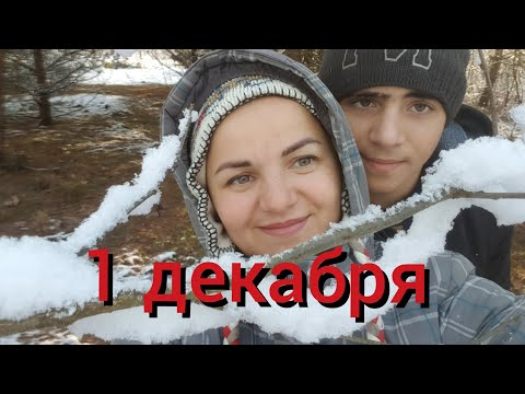 Видео: Зимний день на хуторе . Я думал , что гипсокартон больше крутить не буду никогда,но без него никак