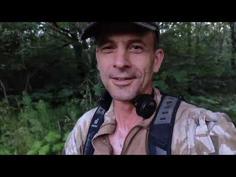 Видео: Обычные находки обычного поисковика