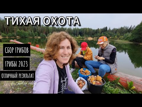 Видео: ТИХАЯ ОХОТА\СБОР ГРИБОВ 2023\#грибы2023 #тихаяохота #сборгрибов #грибалка