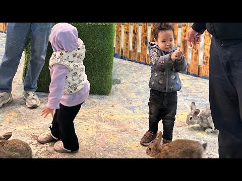 Видео: АҚТАУ-ЖАҢАӨЗЕН.ҚОЯНДАР ПАРКТЕ ҚЫДЫРДЫҚ🫨😍