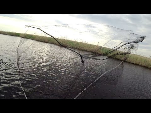 Видео: Рыбалка на кастинговую сеть. Разнорыбье.