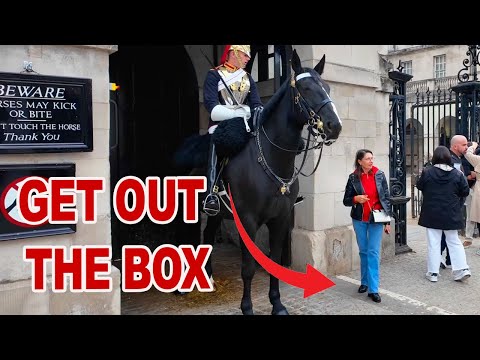 Видео: 24 выходных ящика