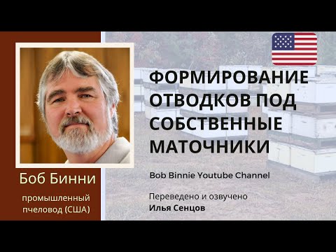 Видео: Формирование отводков под собственные маточники на промышленной пасеке Боба Бинни (США)