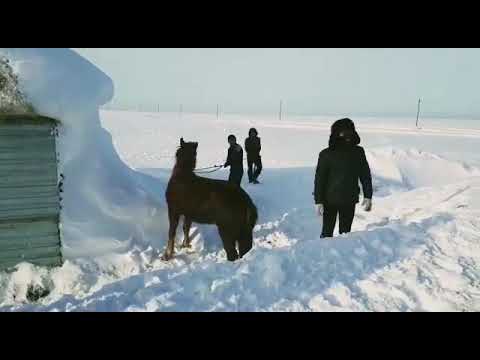 Видео: Бірлік ауылы