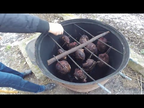 Видео: КОПЧЕНЕ М'ЯСО. РЕЦЕПТ копченого м'яса на дровах в бочці. ШИНКА. Маринування і коптіння!